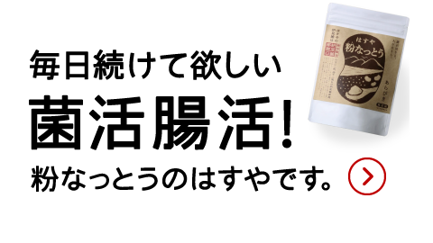 店員コメント2（画像）