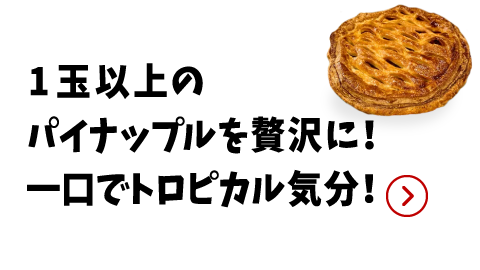 店員コメント1（画像）