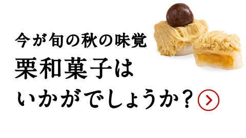 店員コメント2（画像）