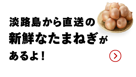 店員コメント1（画像）