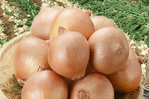 おすすめ商品（任意）