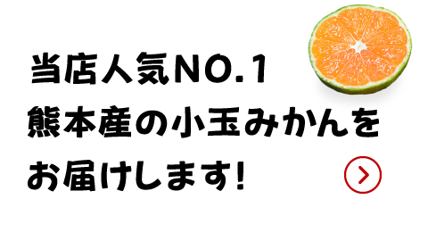 店員コメント1（画像）