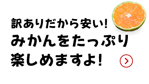 店員コメント3（画像）