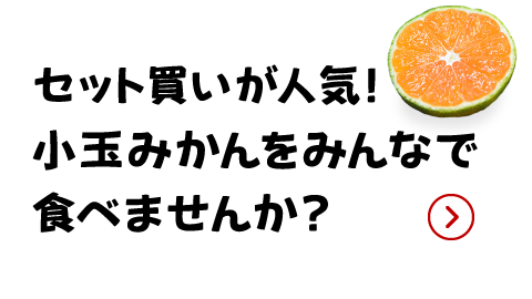 店員コメント2（画像）