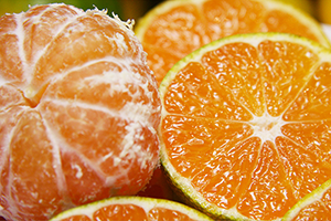 おすすめ商品（任意）